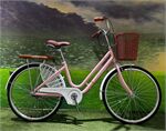 Xe đạp nữ Vicky L600 24